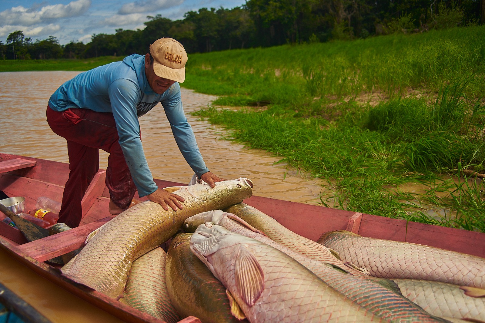 Semana Santa: FAS promove primeira feira de pirarucu de 2024 com venda de 10 toneladas do pescado em Manaus